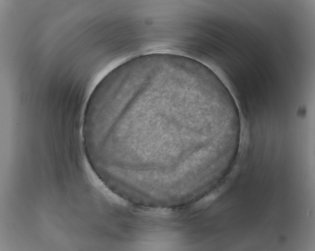 X0000111790957200908131409