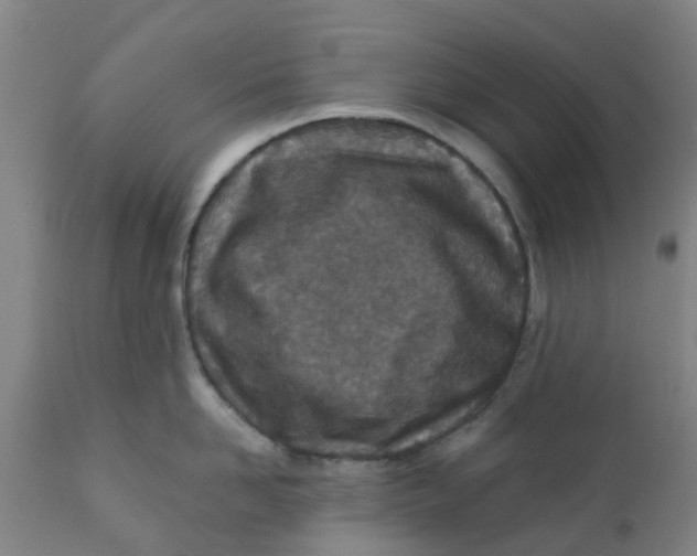 X0000111790958200908131409