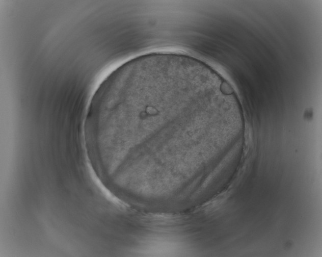 X0000111790959200908131409