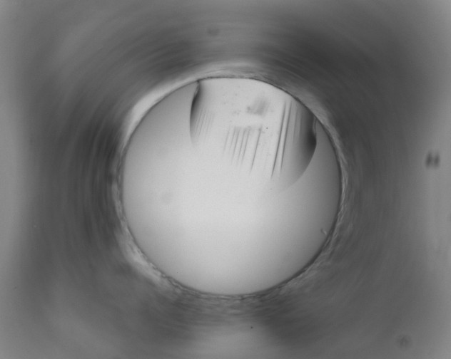 X0000111790960200908131409