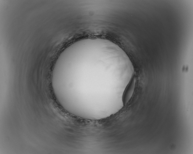 X0000111790961200908131408