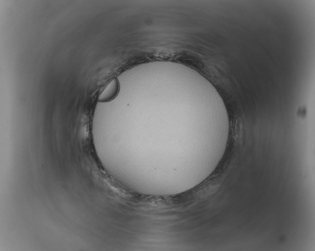 X0000111790962200908131408