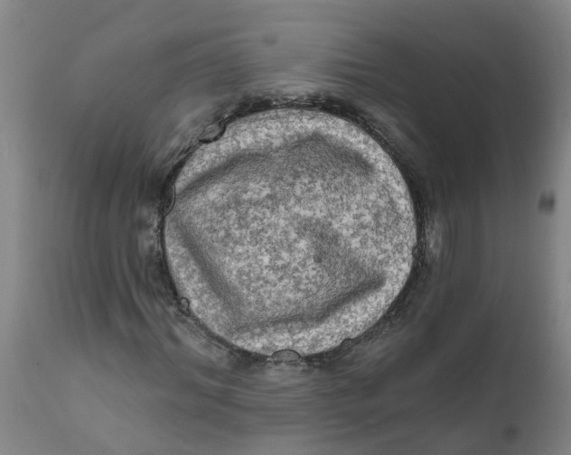 X0000111790964200908131408