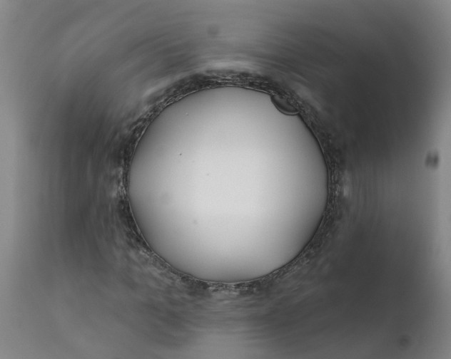 X0000111790965200908131408