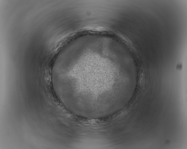 X0000111790966200908131408