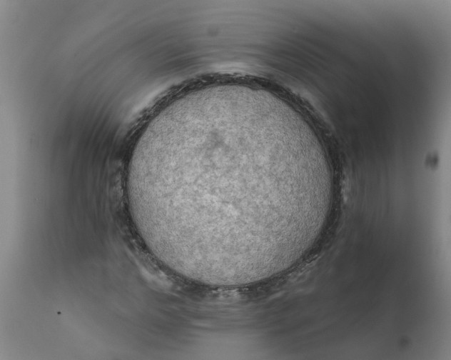 X0000111790968200908131408