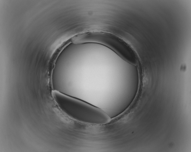 X0000111790973200908131408