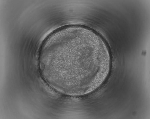 X0000111790975200908131408