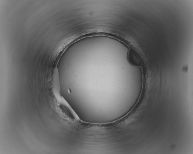 X0000111790977200908131408