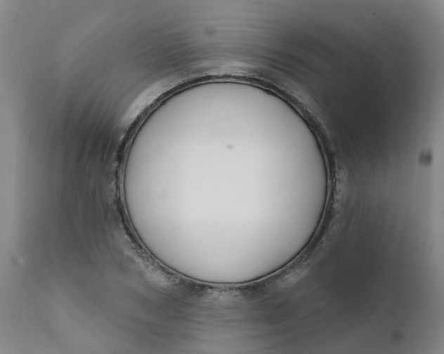 X0000111790978200908131408