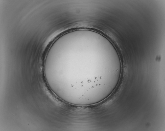 X0000111790981200908131408