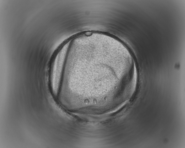 X0000111790983200908131408