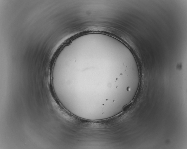 X0000111790984200908131408