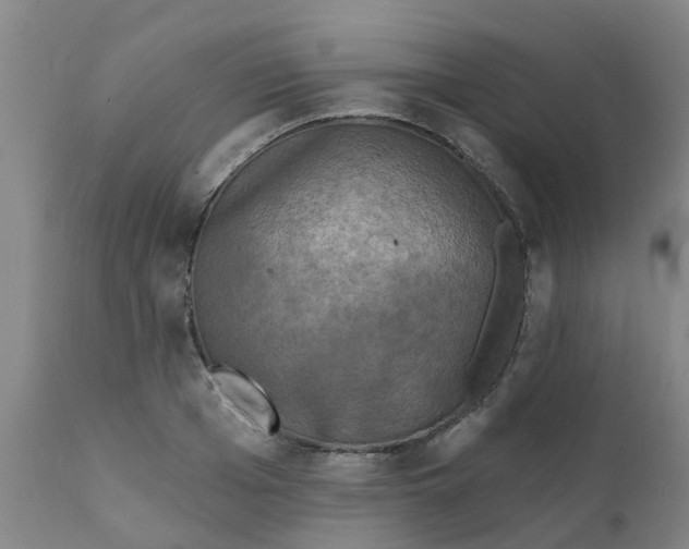 X0000111790985200908131408