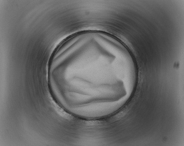 X0000111790988200908131408