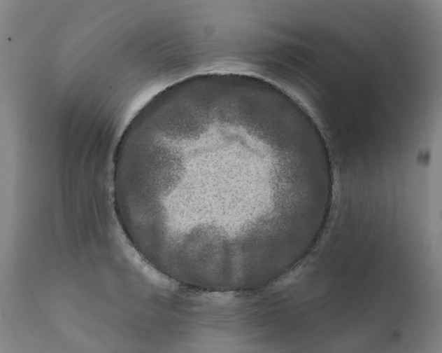 X0000111790990200908131408