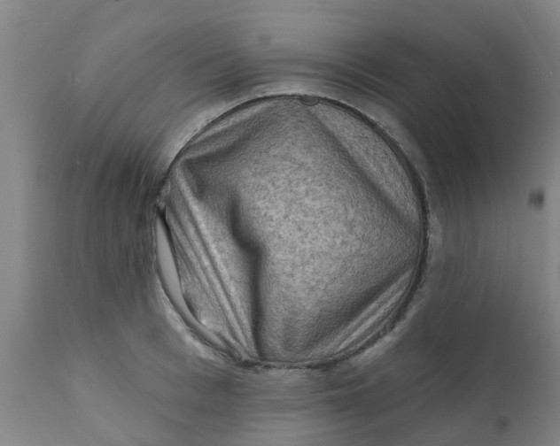 X0000111790993200908131408