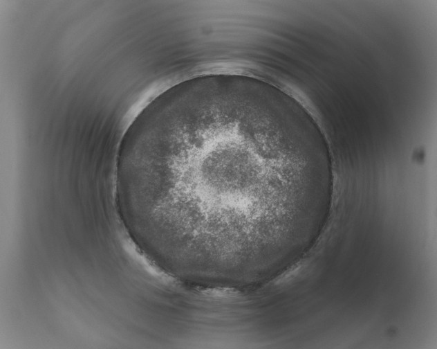 X0000111790994200908131408