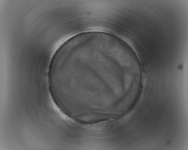 X0000111790995200908131408