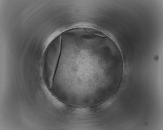 X0000111790997200908131408