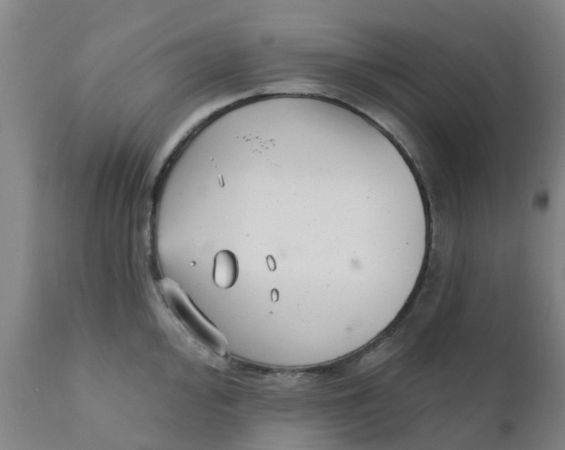 X0000111791000200908131408