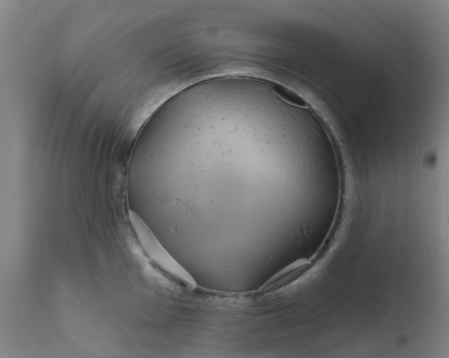 X0000111791001200908131408