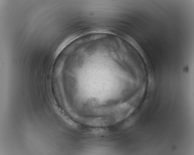 X0000111791002200908131408