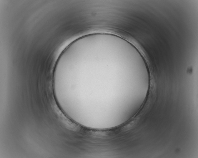 X0000111791004200908131408