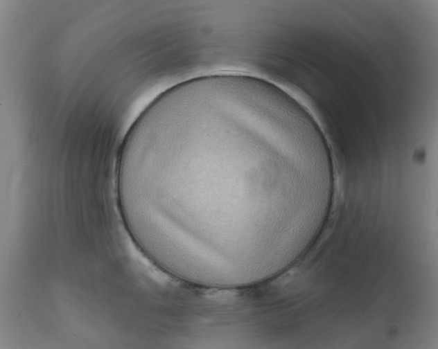 X0000111791006200908131408