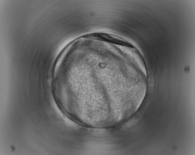 X0000111791007200908131408