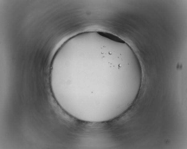 X0000111791008200908131408