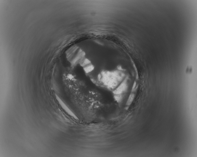 X0000111791009200908131407