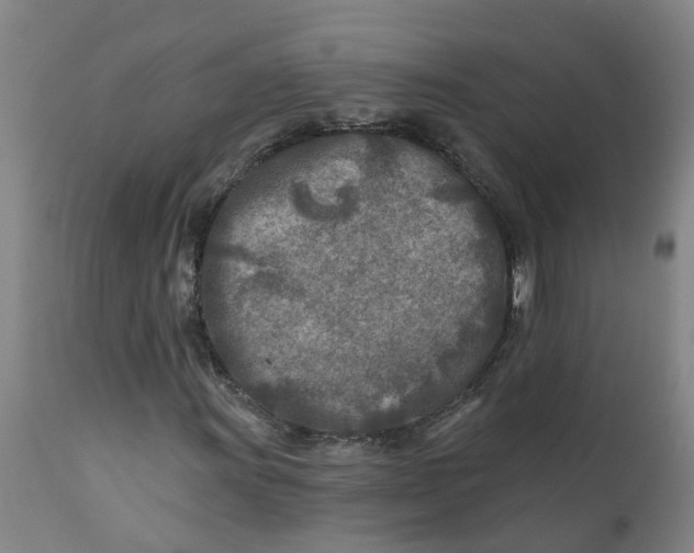 X0000111791011200908131407