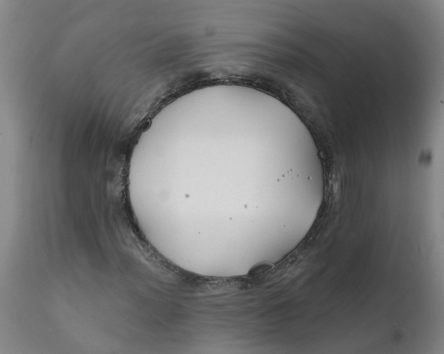 X0000111791012200908131407