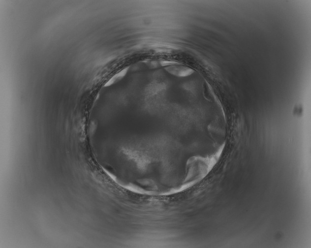 X0000111791013200908131407