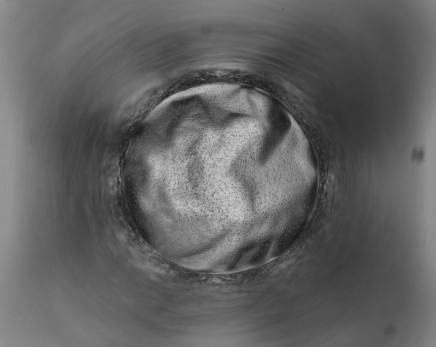 X0000111791014200908131407