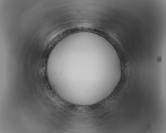 X0000111791015200908131407