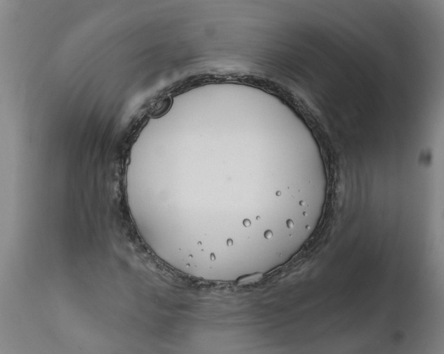 X0000111791016200908131407