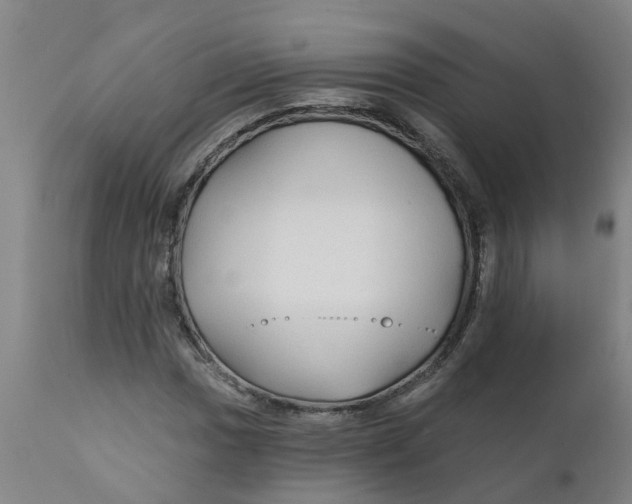 X0000111791017200908131407