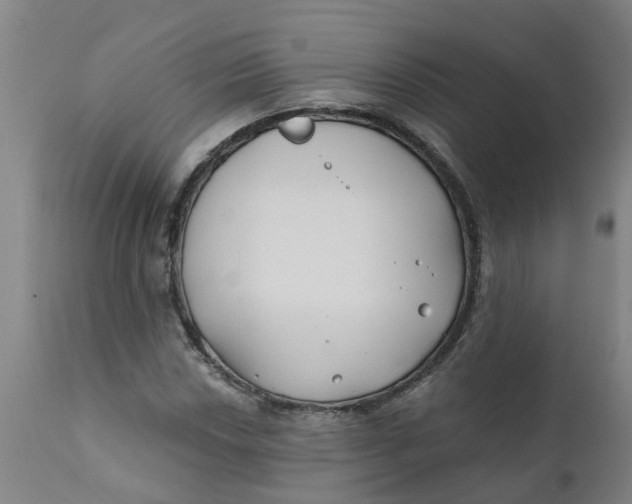 X0000111791018200908131407