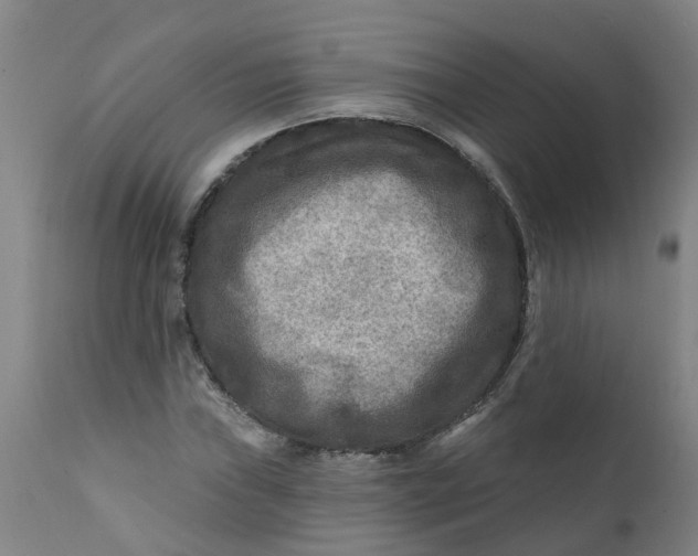 X0000111791019200908131407