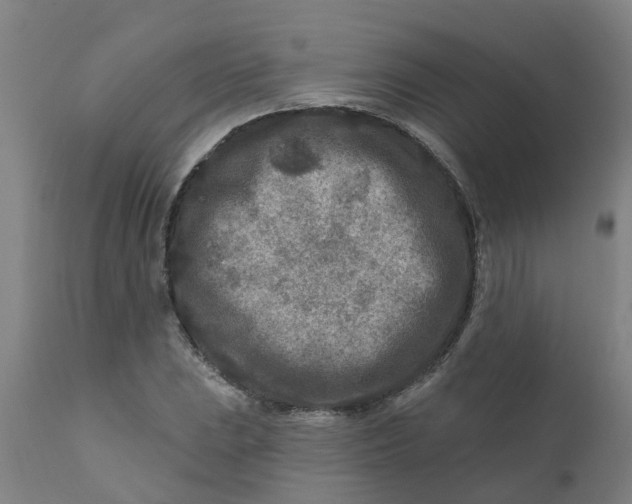 X0000111791023200908131407