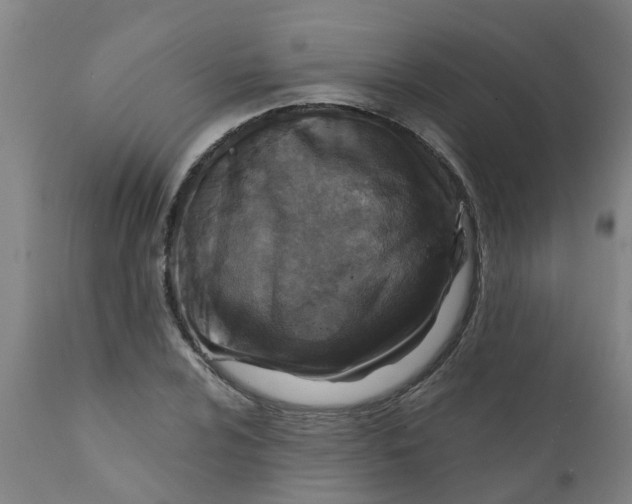 X0000111791024200908131407