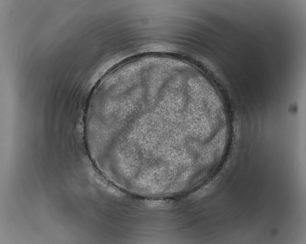 X0000111791025200908131407