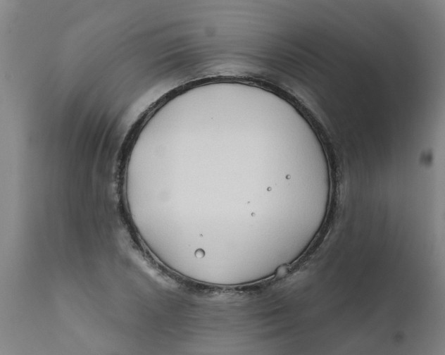 X0000111791026200908131407