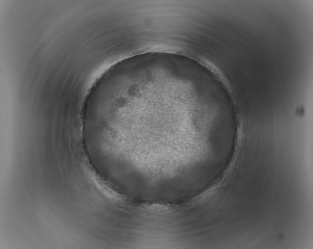 X0000111791027200908131407