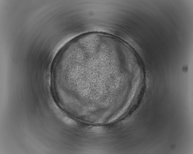 X0000111791028200908131407