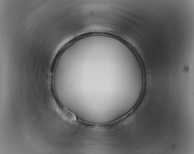 X0000111791029200908131407