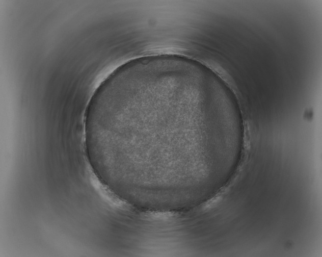 X0000111791031200908131407