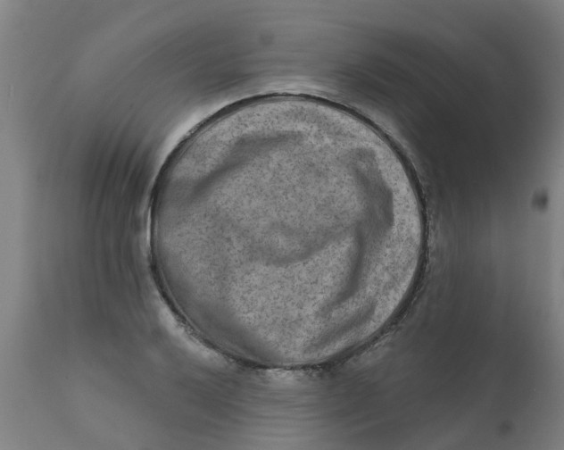 X0000111791032200908131407